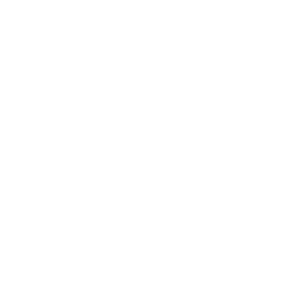 Concert